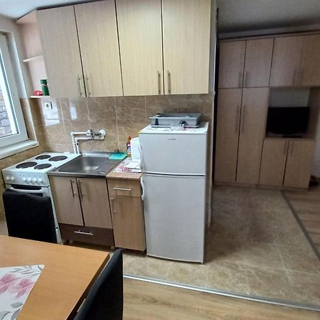 Kopaonik Apartman Aleksandar Eksteriør bilde